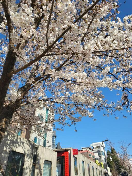 Apartment 홍대 # H101 Seoul